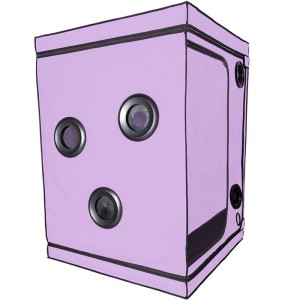 SECRET DOME - KINK CLUB CABIN SCANDALE VIOLA